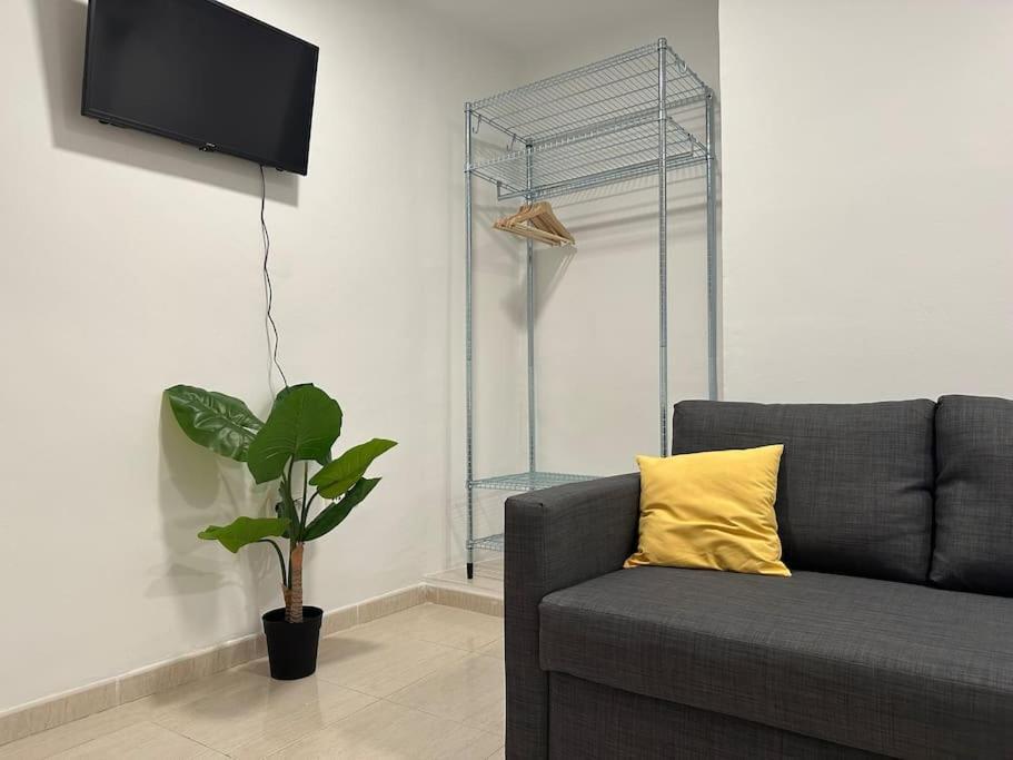 Little Horse Apartments 2 塔拉戈纳 外观 照片